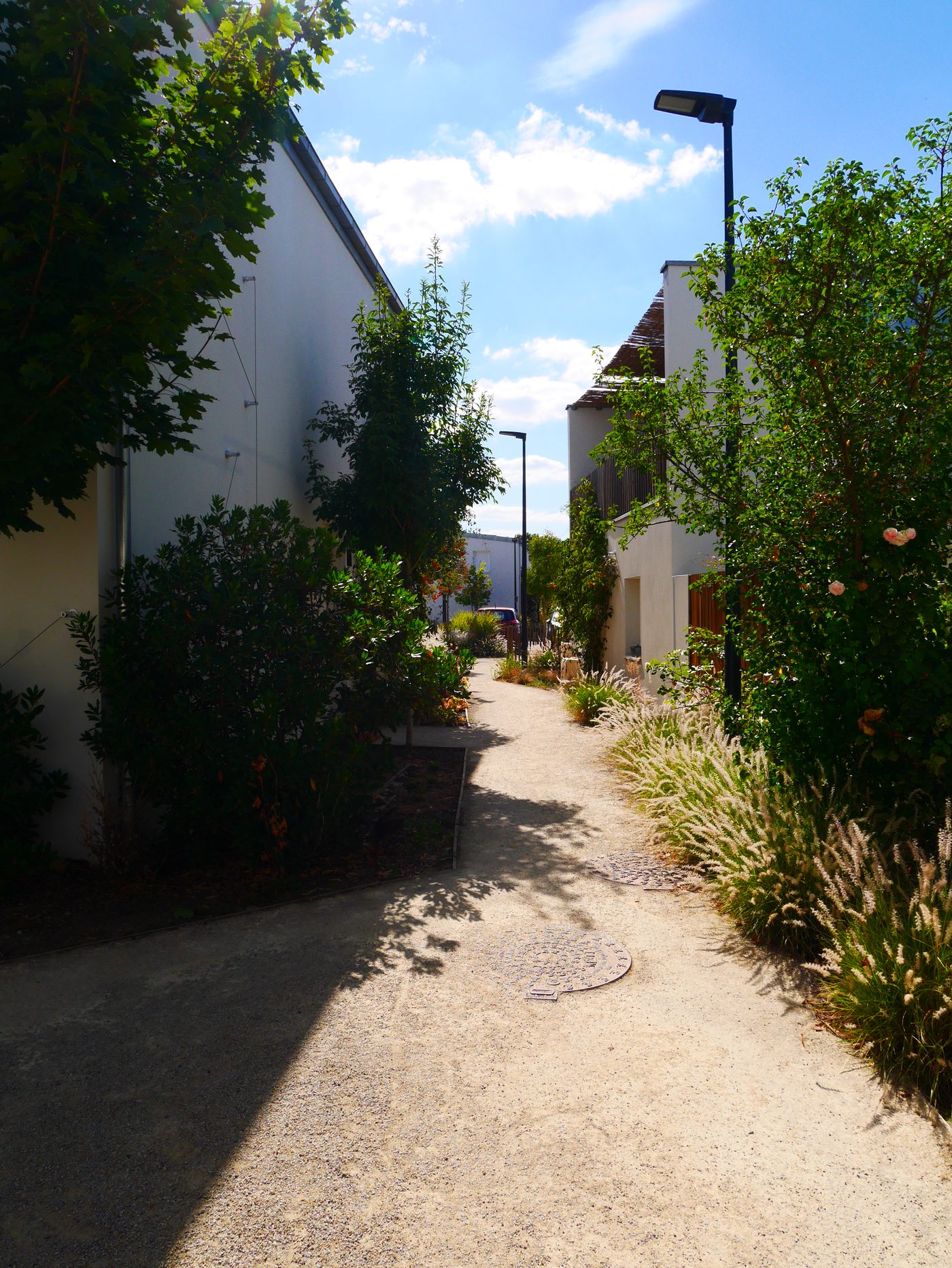 Saint-Julien-de-Concelles — Vue 6