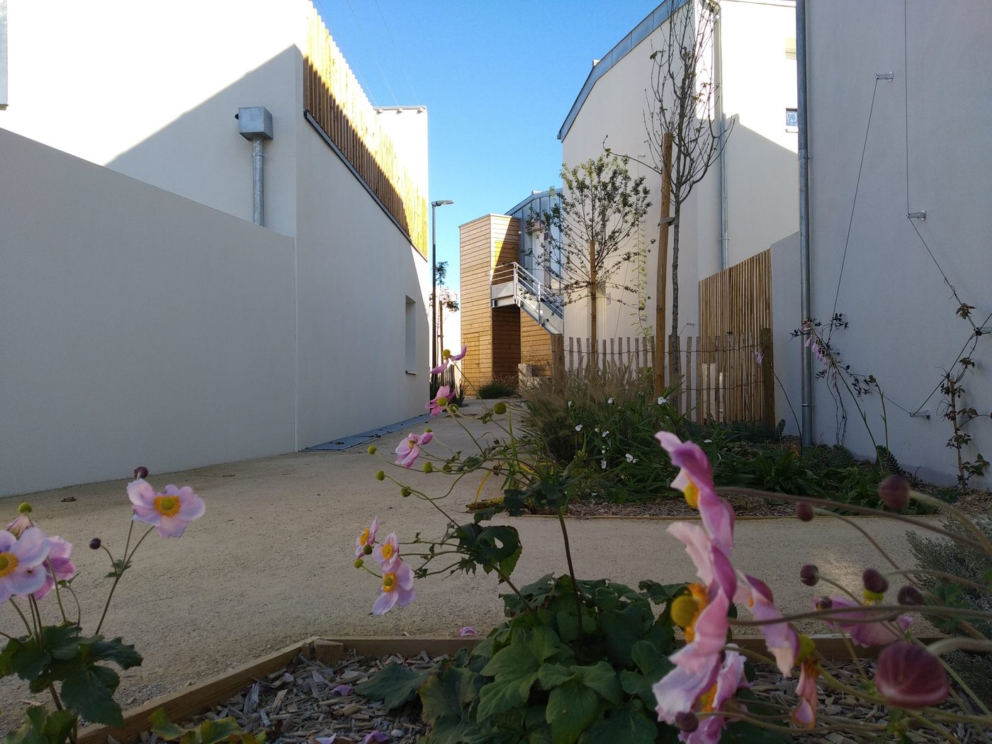 Saint-Julien-de-Concelles — Vue 3