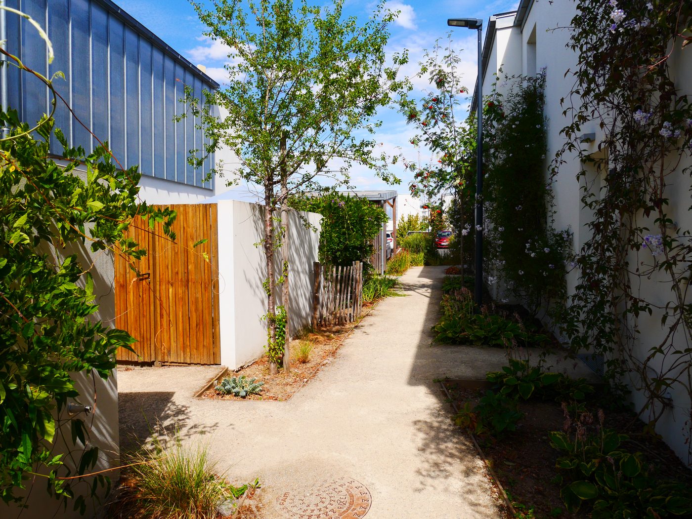 Saint-Julien-de-Concelles — Vue 4