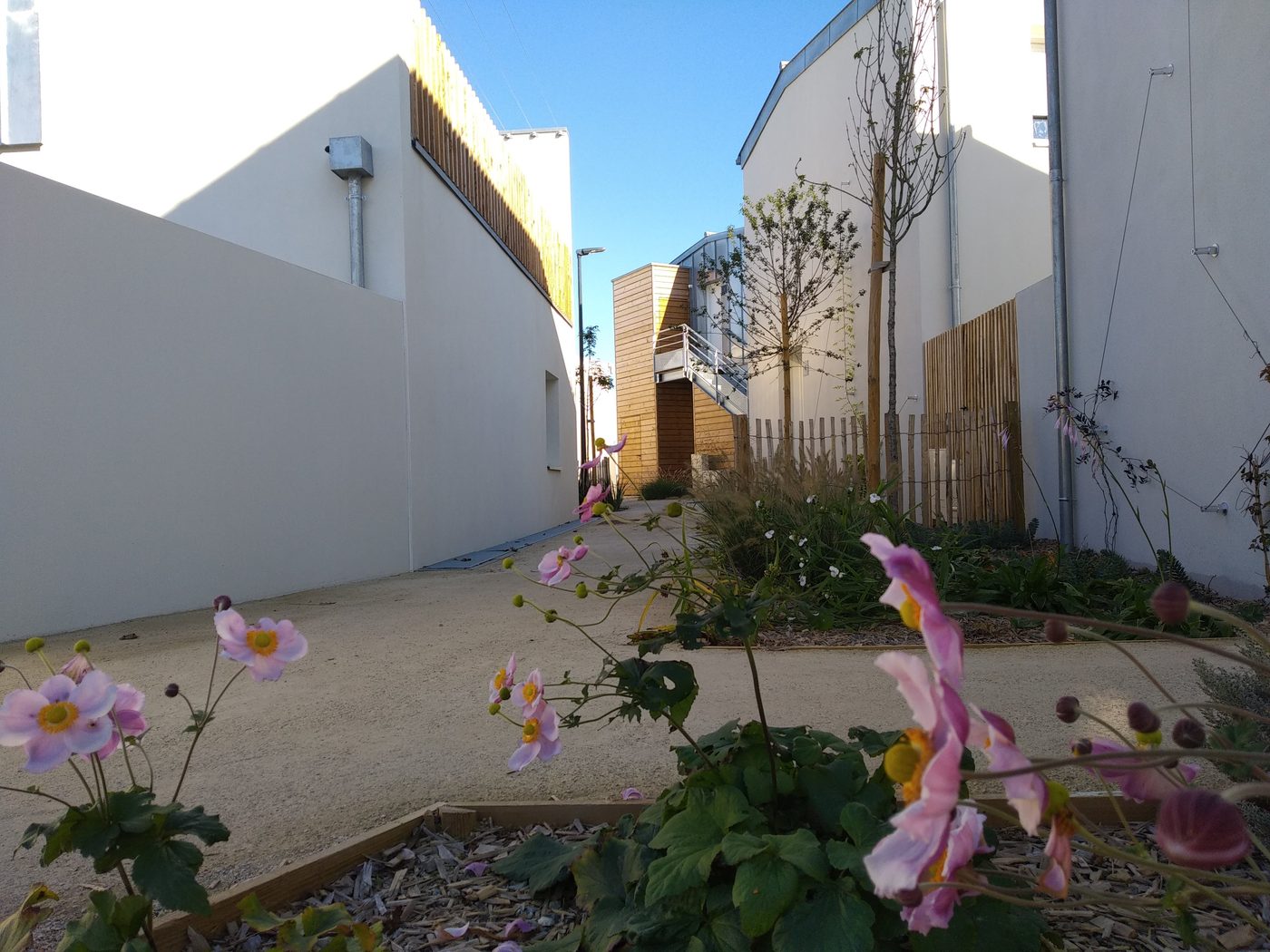 Saint-Julien-de-Concelles — Urbanisation sereine, projet paysager par Atelier Nāga