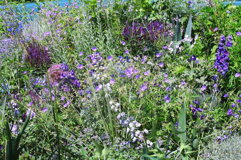 Chaumont-sur-Loire, Le Jardin « Nuances » : vue 3