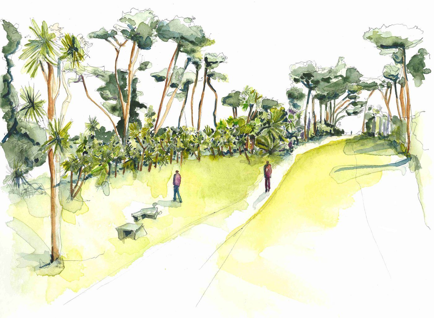 Île de Batz, Imaginer un jardin — Plan guide : vue 2