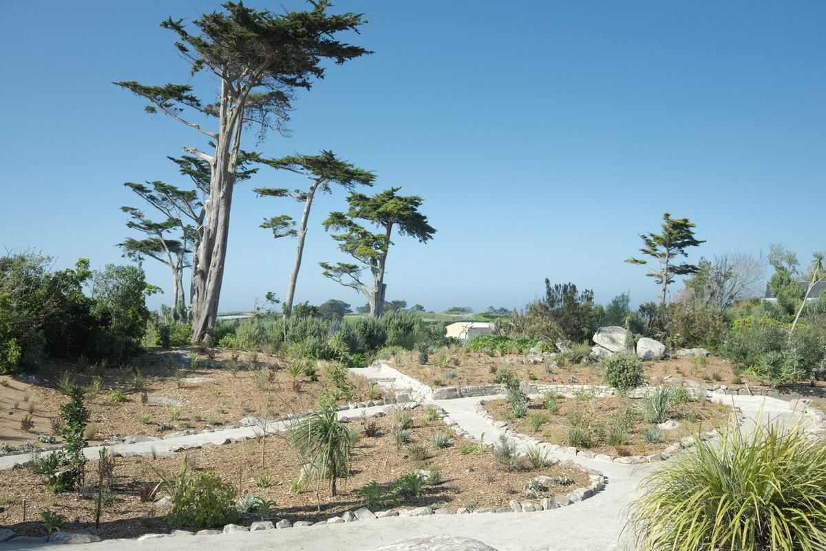Île de Batz, Imaginer un jardin — Réhabilitation : vue 1