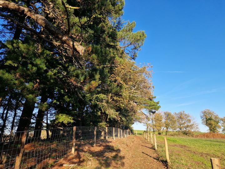 Muzillac, Itinéraire de randonnée nature — Rive Est