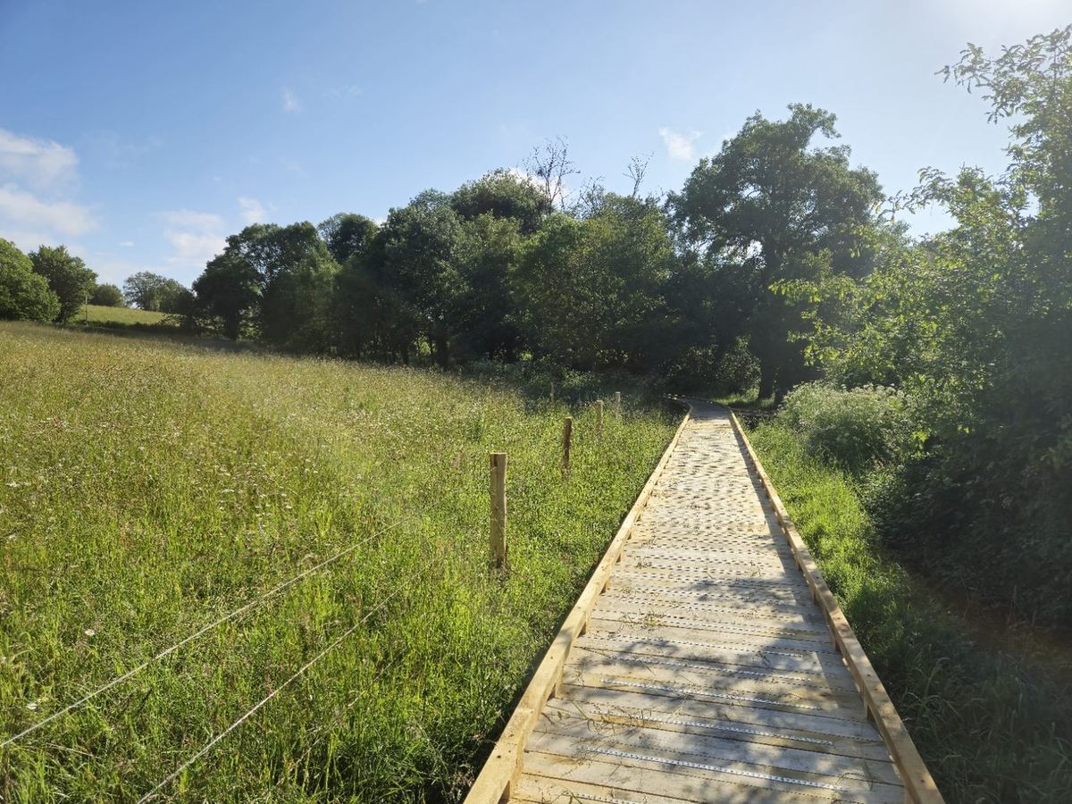 Muzillac, Itinéraire de randonnée nature — Rive Ouest : vue 1