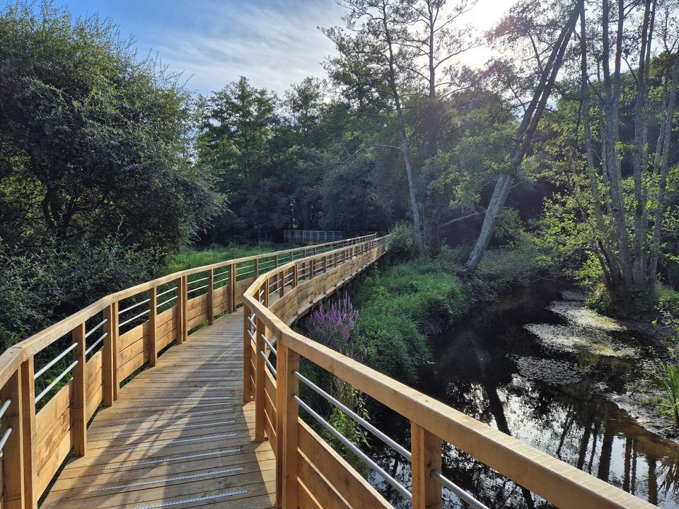 Muzillac, Itinéraire de randonnée nature — Rive Ouest : vue 6