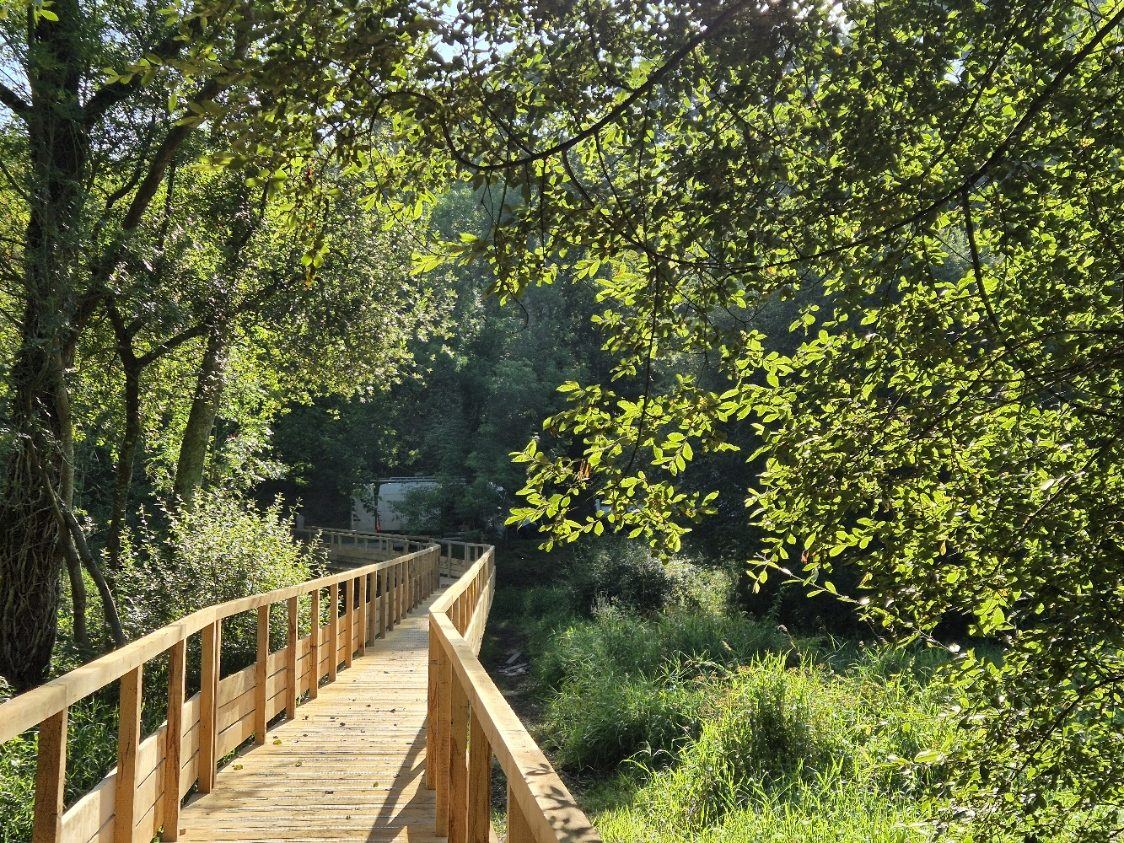 Muzillac, Itinéraire de randonnée nature — Rive Ouest : vue 2