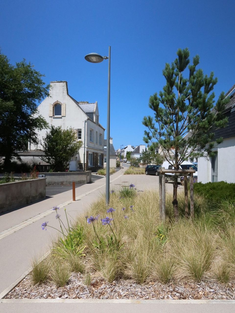 Plougasnou, Étendre le centre bourg : vue 4