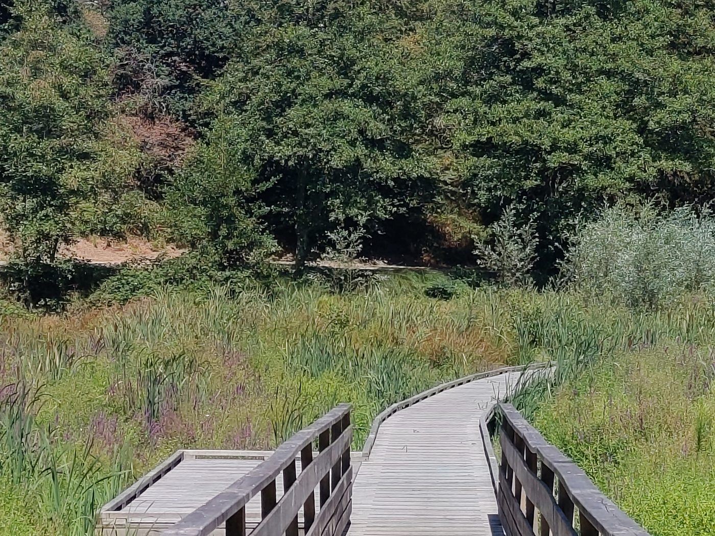 Questembert, Réalisation de passerelles : vue 2