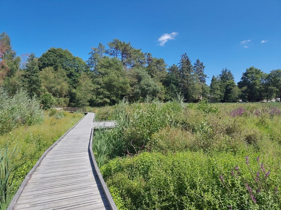 Questembert, Réalisation de passerelles : vue 4