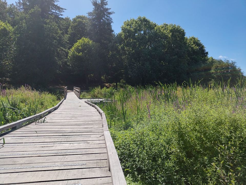 Questembert, Réalisation de passerelles : vue 8