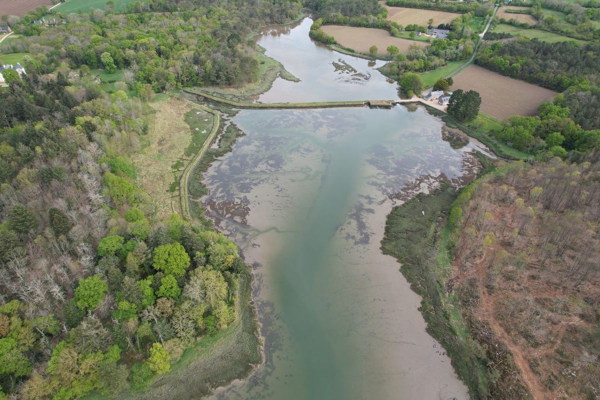 Carnac, Crach, La Trinité-sur-Mer, Réalisation d'un sentier côtier : vue 1